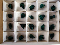 Natural Dioptase On Dolomite Specimens x 20 From Likasi, Congo - Toprock Gemstones and Minerals 