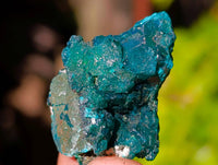 Natural Dioptase On Dolomite Specimens x 20 From Likasi, Congo - Toprock Gemstones and Minerals 