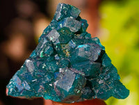 Natural Dioptase On Dolomite Specimens x 20 From Likasi, Congo - Toprock Gemstones and Minerals 