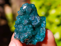 Natural Dioptase On Dolomite Specimens x 20 From Likasi, Congo - Toprock Gemstones and Minerals 