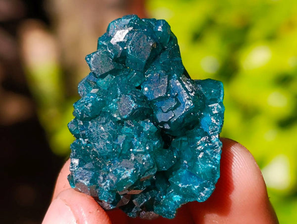 Natural Dioptase On Dolomite Specimens x 20 From Likasi, Congo - Toprock Gemstones and Minerals 