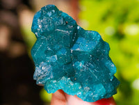 Natural Dioptase On Dolomite Specimens x 20 From Likasi, Congo - Toprock Gemstones and Minerals 