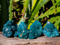 Natural Dioptase On Dolomite Specimens x 20 From Likasi, Congo - Toprock Gemstones and Minerals 