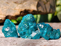 Natural Dioptase On Dolomite Specimens x 20 From Likasi, Congo - Toprock Gemstones and Minerals 