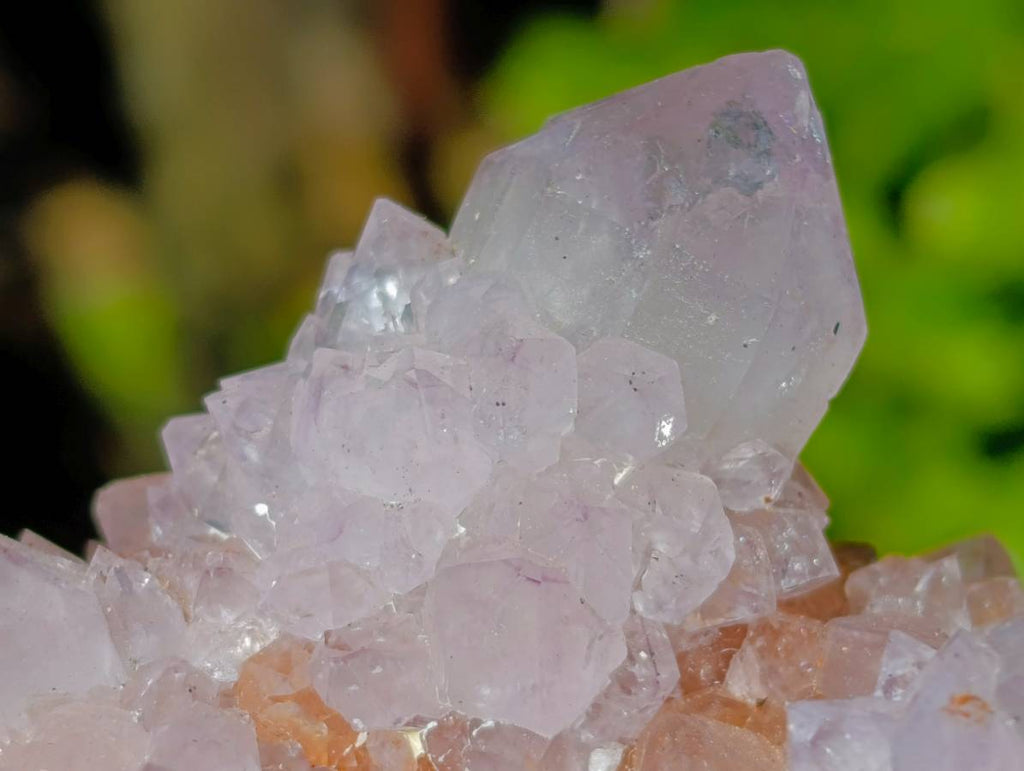 Natural Amethyst Spirit Quartz Clusters x 2 From Boekenhouthoek, South Africa - Toprock Gemstones and Minerals 