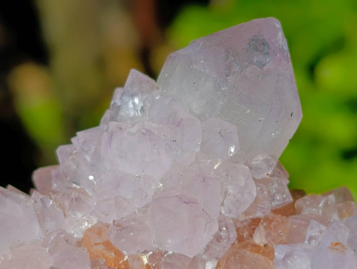 Natural Amethyst Spirit Quartz Clusters x 2 From Boekenhouthoek, South Africa - Toprock Gemstones and Minerals 