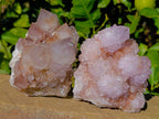Natural Amethyst Spirit Quartz Clusters x 2 From Boekenhouthoek, South Africa - Toprock Gemstones and Minerals 