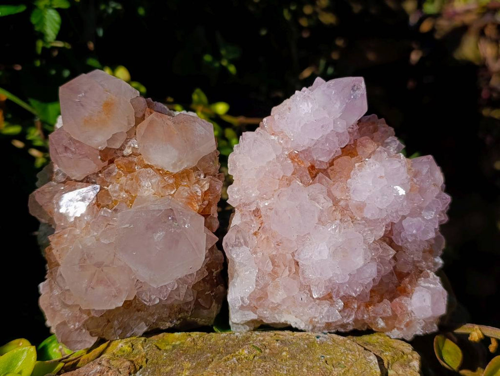 Natural Amethyst Spirit Quartz Clusters x 2 From Boekenhouthoek, South Africa - Toprock Gemstones and Minerals 