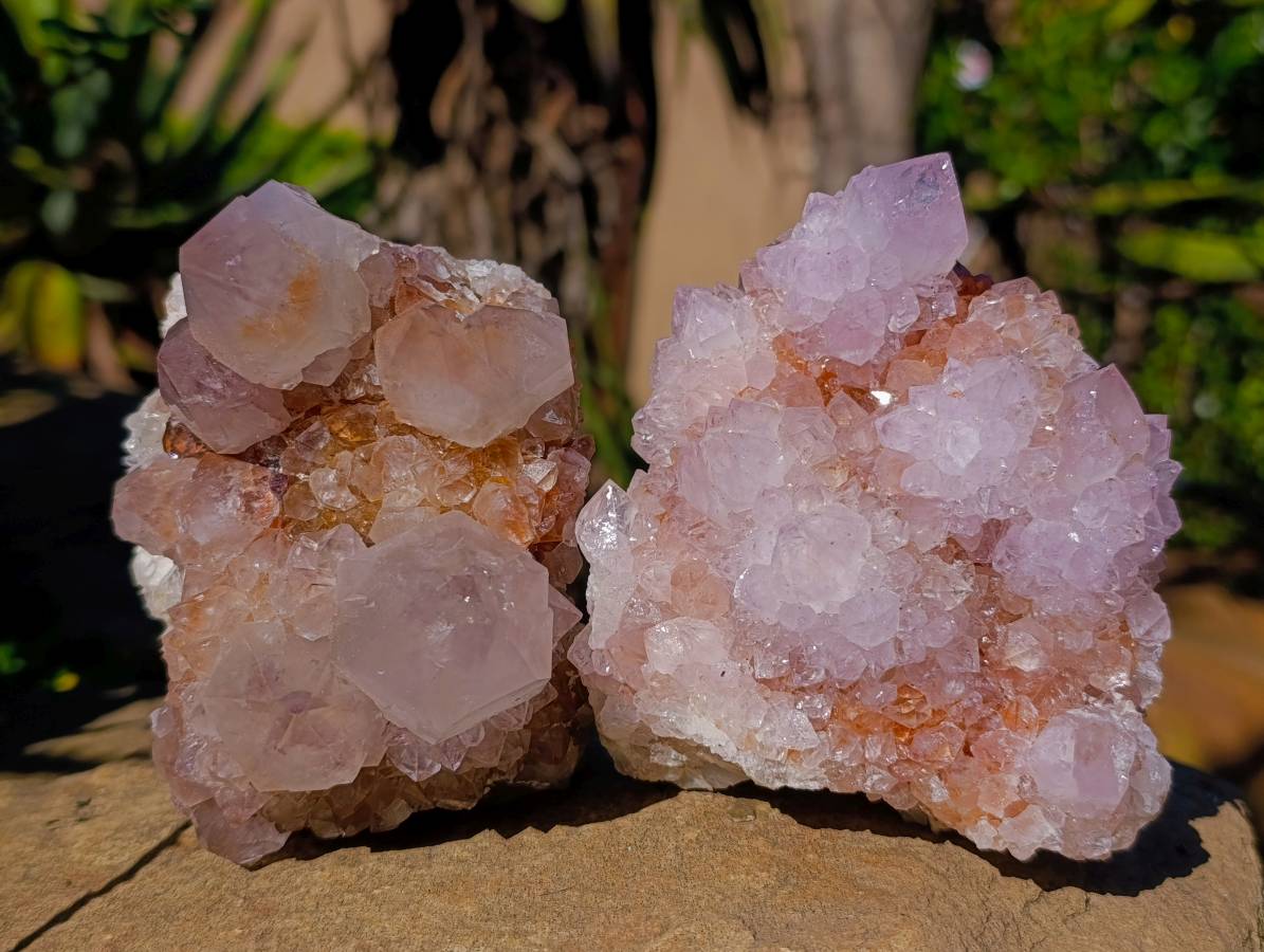Natural Amethyst Spirit Quartz Clusters x 2 From Boekenhouthoek, South Africa - Toprock Gemstones and Minerals 