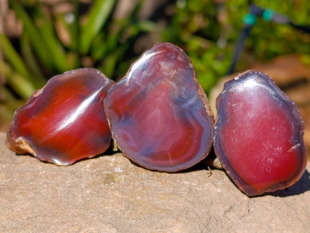 Polished On One Side Red Sashe River Agate Nodules x 20 From Zimbabwe - Toprock Gemstones and Minerals 