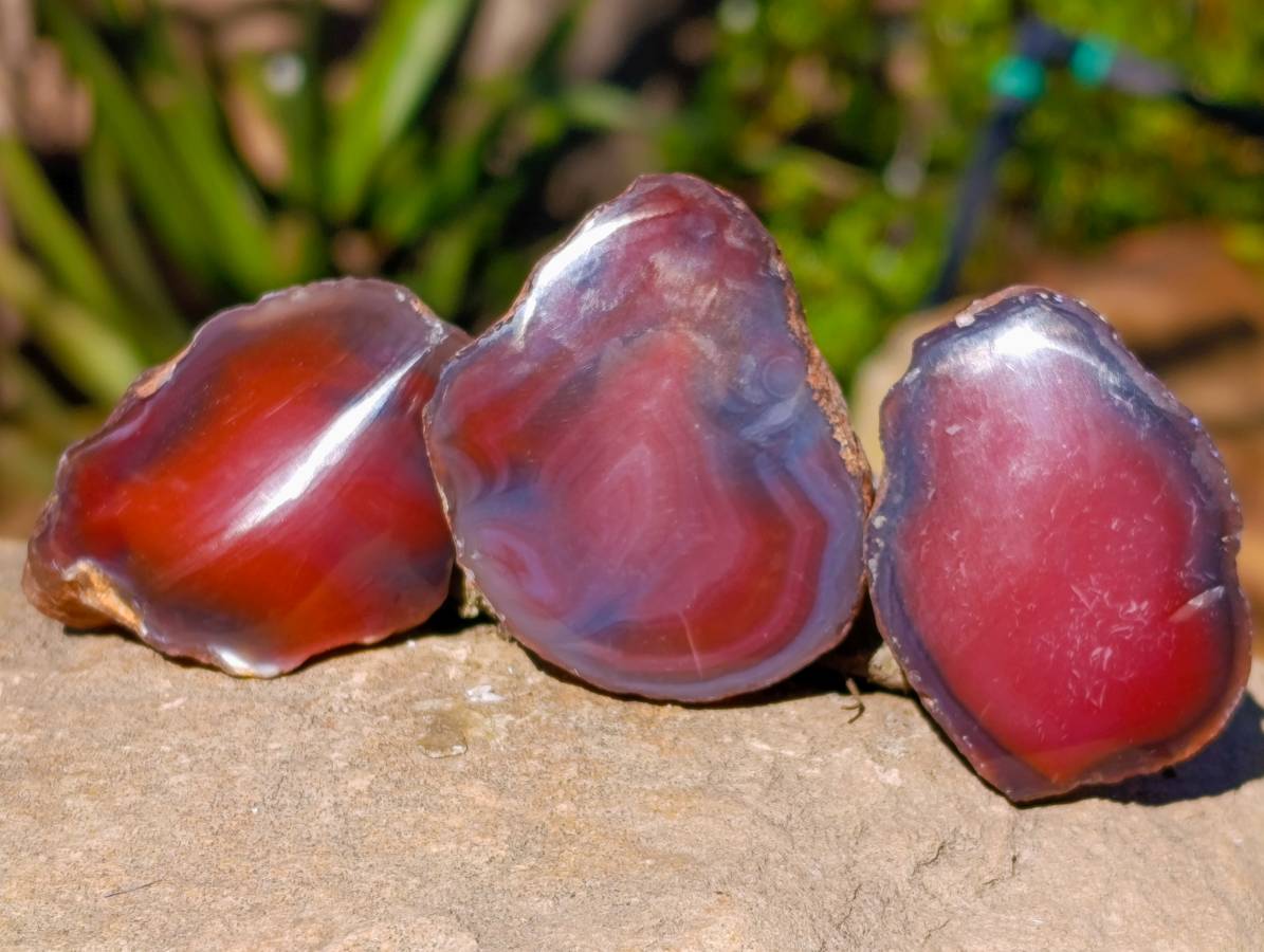 Polished On One Side Red Sashe River Agate Nodules x 20 From Zimbabwe - Toprock Gemstones and Minerals 