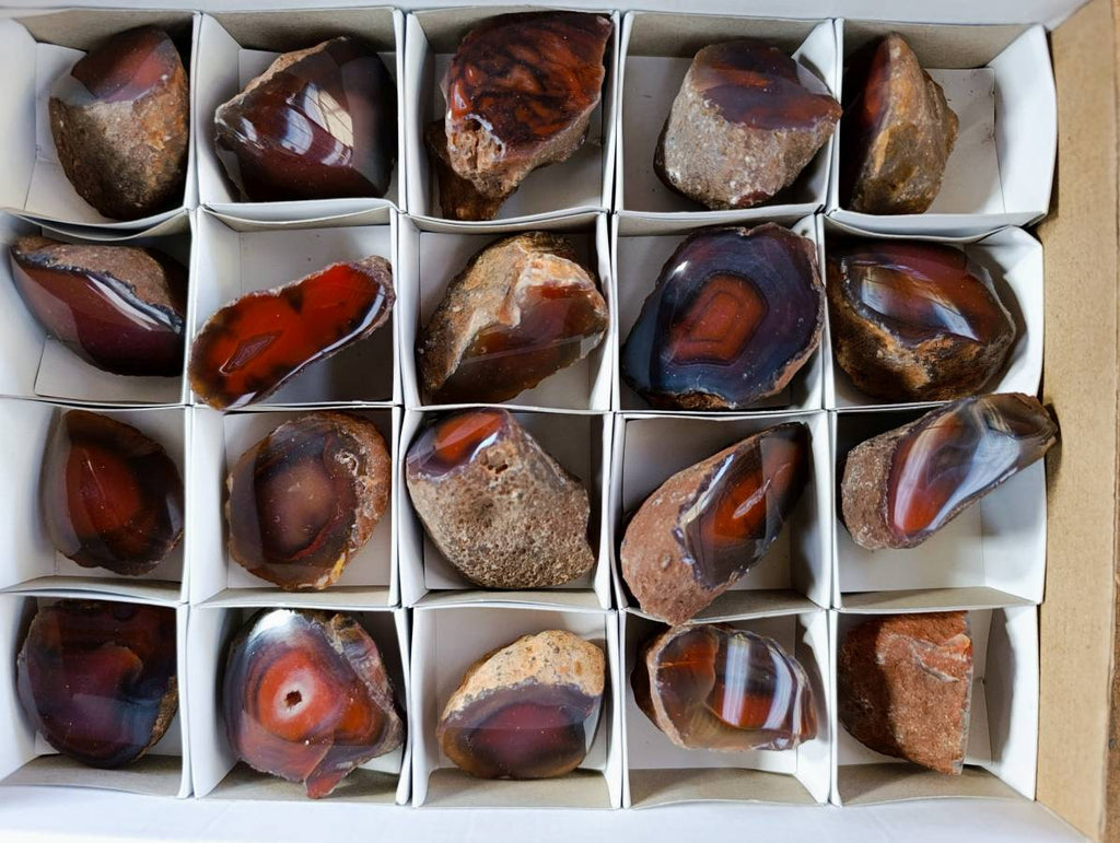 Polished On One Side Red Sashe River Agate Nodules x 20 From Zimbabwe - Toprock Gemstones and Minerals 