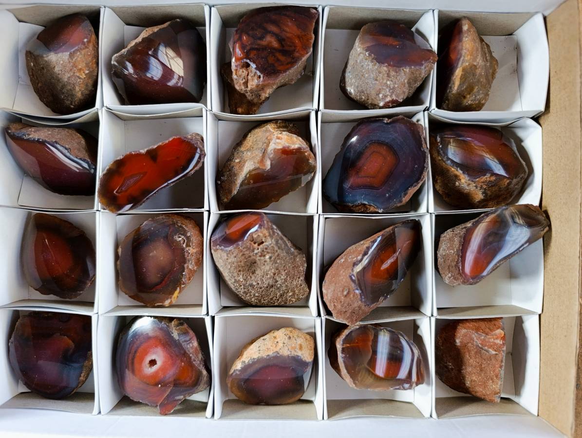 Polished On One Side Red Sashe River Agate Nodules x 20 From Zimbabwe - Toprock Gemstones and Minerals 