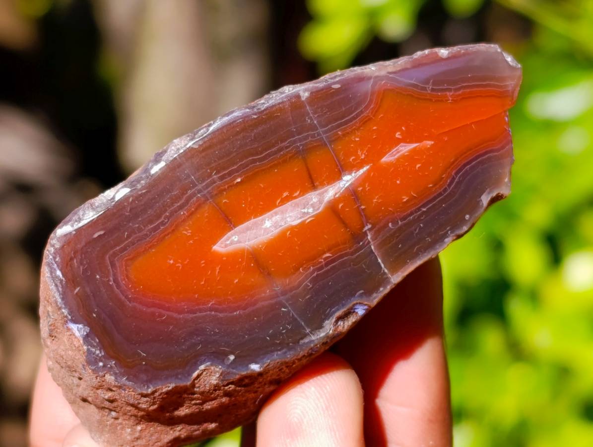 Polished On One Side Red Sashe River Agate Nodules x 20 From Zimbabwe - Toprock Gemstones and Minerals 
