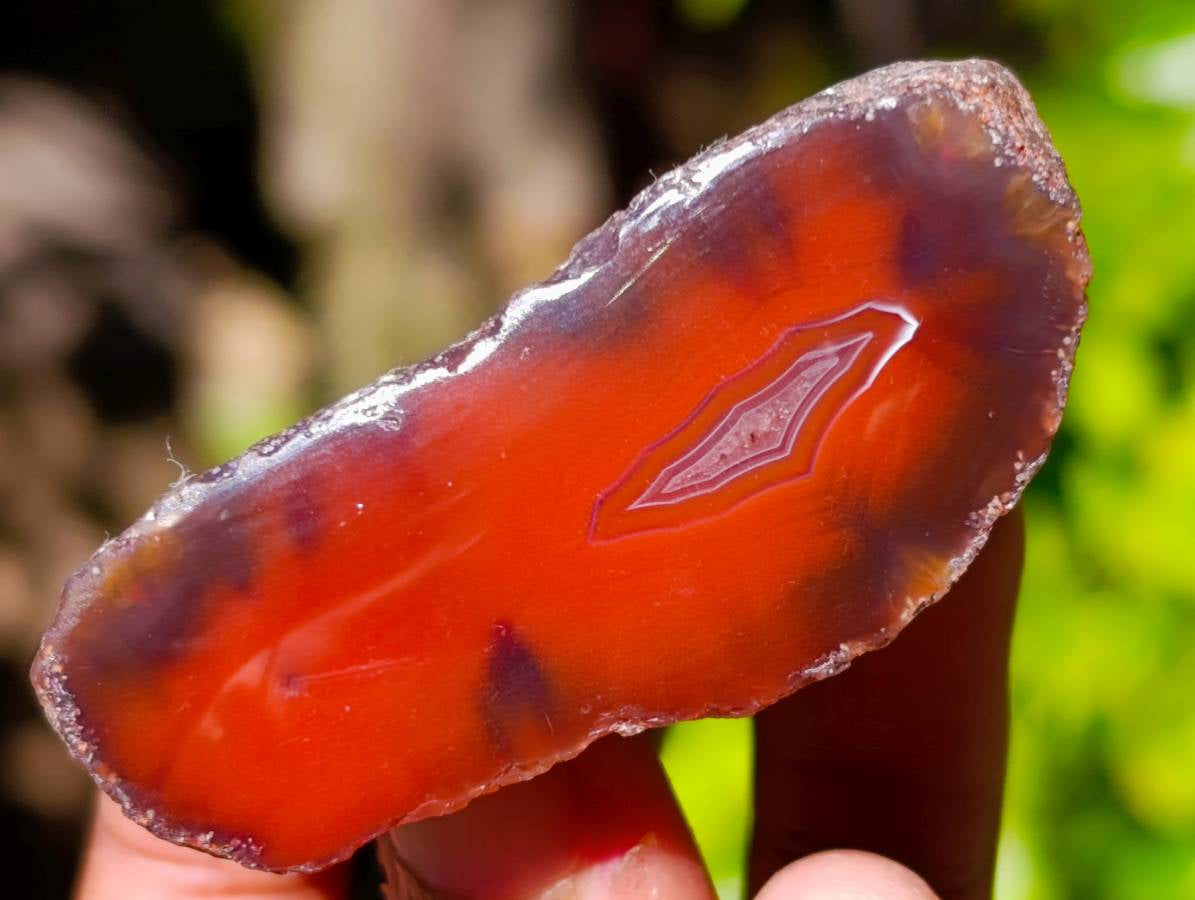 Polished On One Side Red Sashe River Agate Nodules x 20 From Zimbabwe - Toprock Gemstones and Minerals 