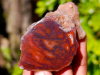 Polished On One Side Red Sashe River Agate Nodules x 20 From Zimbabwe - Toprock Gemstones and Minerals 
