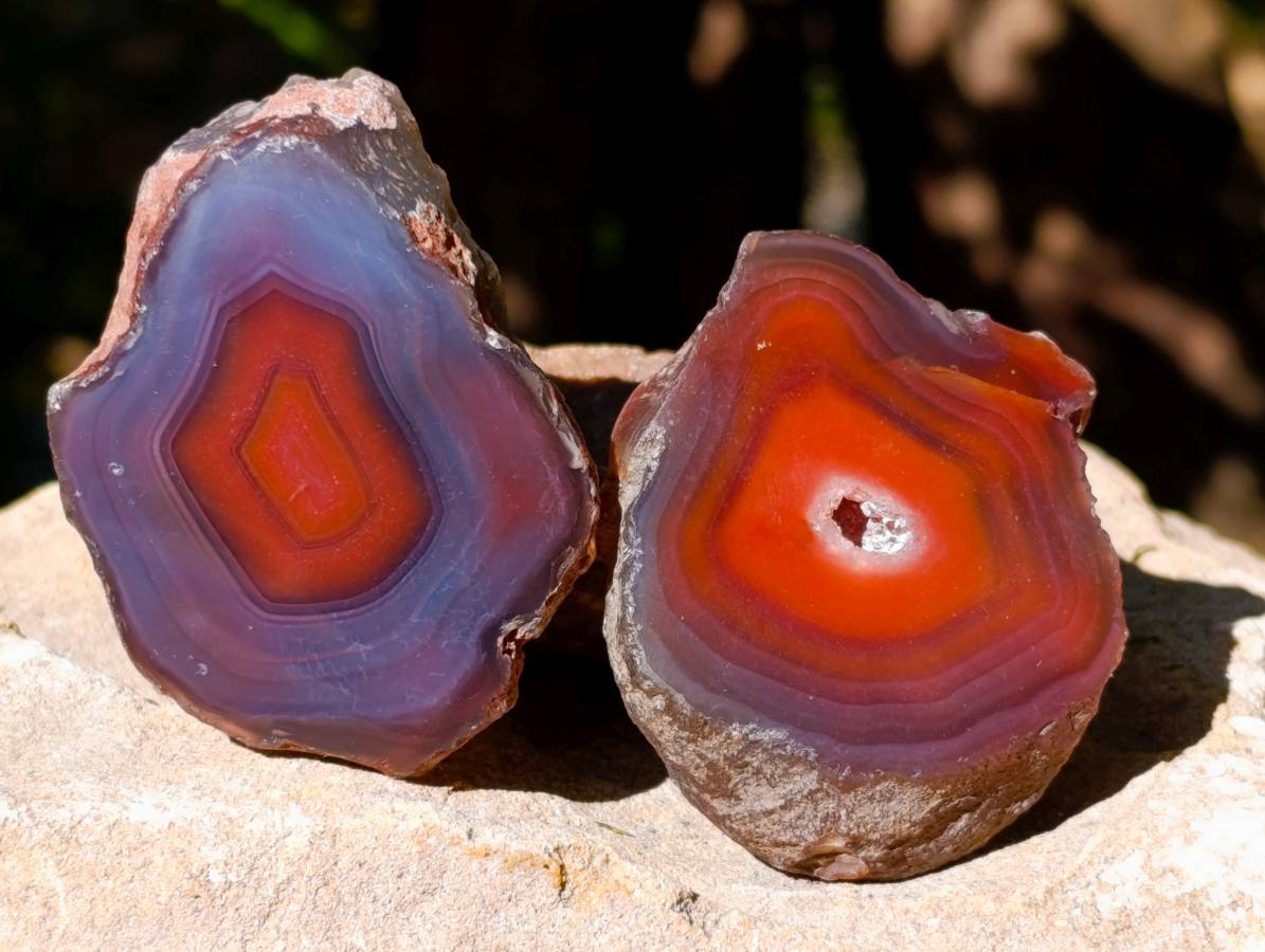 Polished On One Side Red Sashe River Agate Nodules x 20 From Zimbabwe - Toprock Gemstones and Minerals 