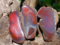 Polished On One Side Red Sashe River Agate Nodules x 20 From Zimbabwe - Toprock Gemstones and Minerals 
