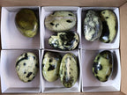 Polished Leopard Stone Palm Stones x 9 From Zimbabwe - Toprock Gemstones and Minerals 