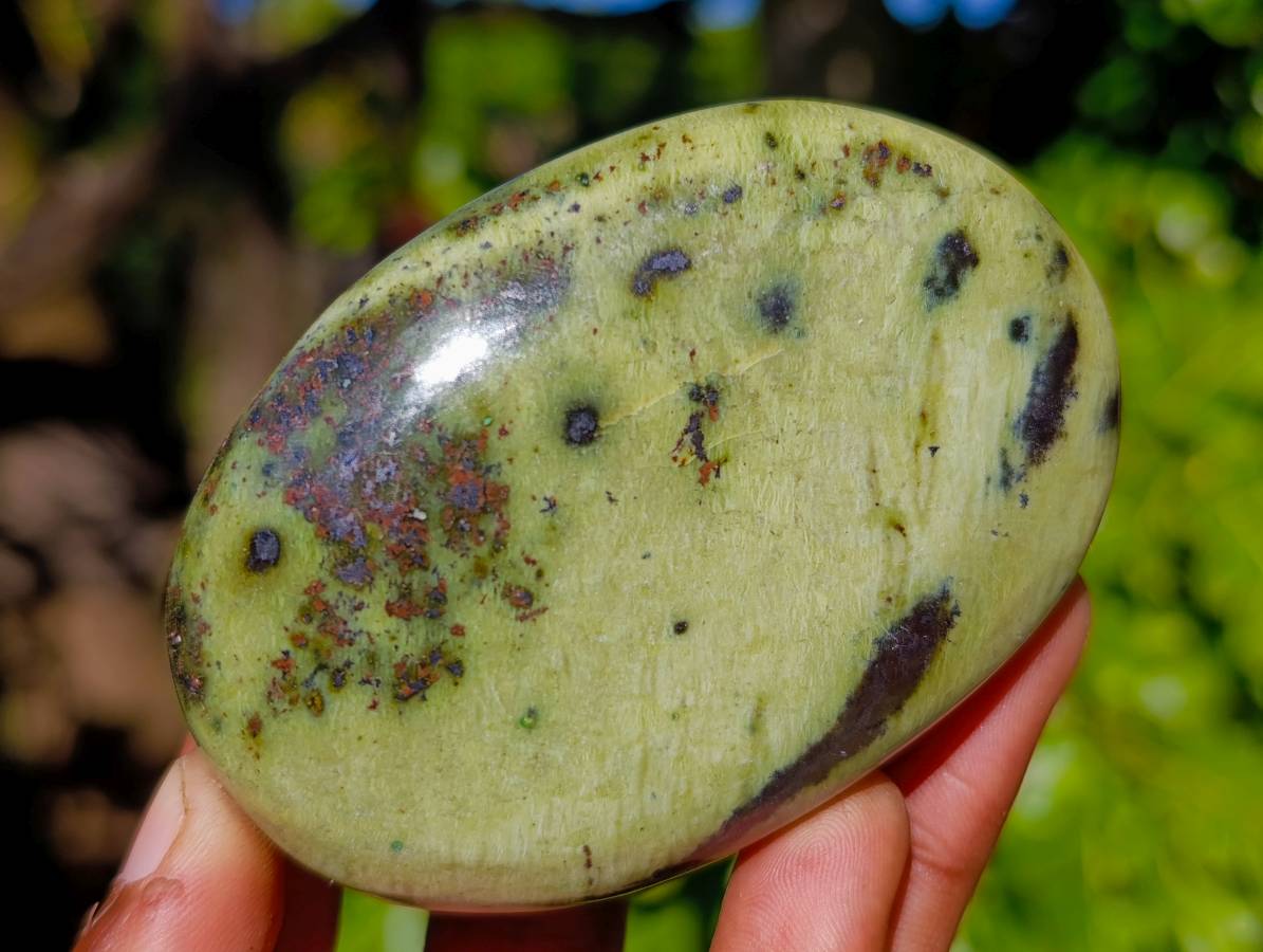 Polished Leopard Stone Palm Stones x 9 From Zimbabwe - Toprock Gemstones and Minerals 