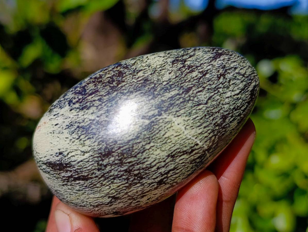 Polished Leopard Stone Palm Stones x 9 From Zimbabwe - Toprock Gemstones and Minerals 