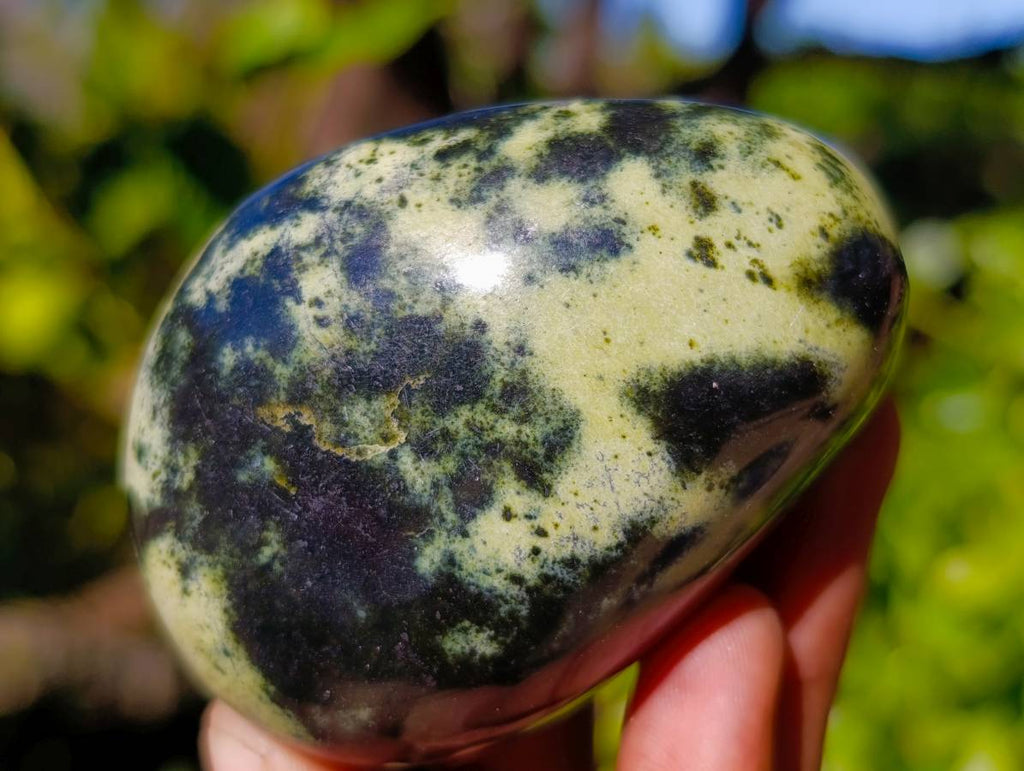 Polished Leopard Stone Palm Stones x 9 From Zimbabwe - Toprock Gemstones and Minerals 
