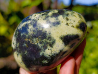 Polished Leopard Stone Palm Stones x 9 From Zimbabwe - Toprock Gemstones and Minerals 