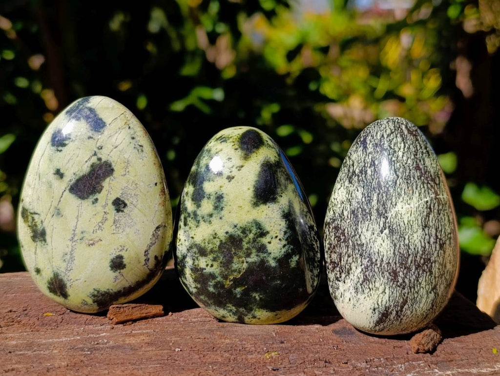 Polished Leopard Stone Palm Stones x 9 From Zimbabwe - Toprock Gemstones and Minerals 
