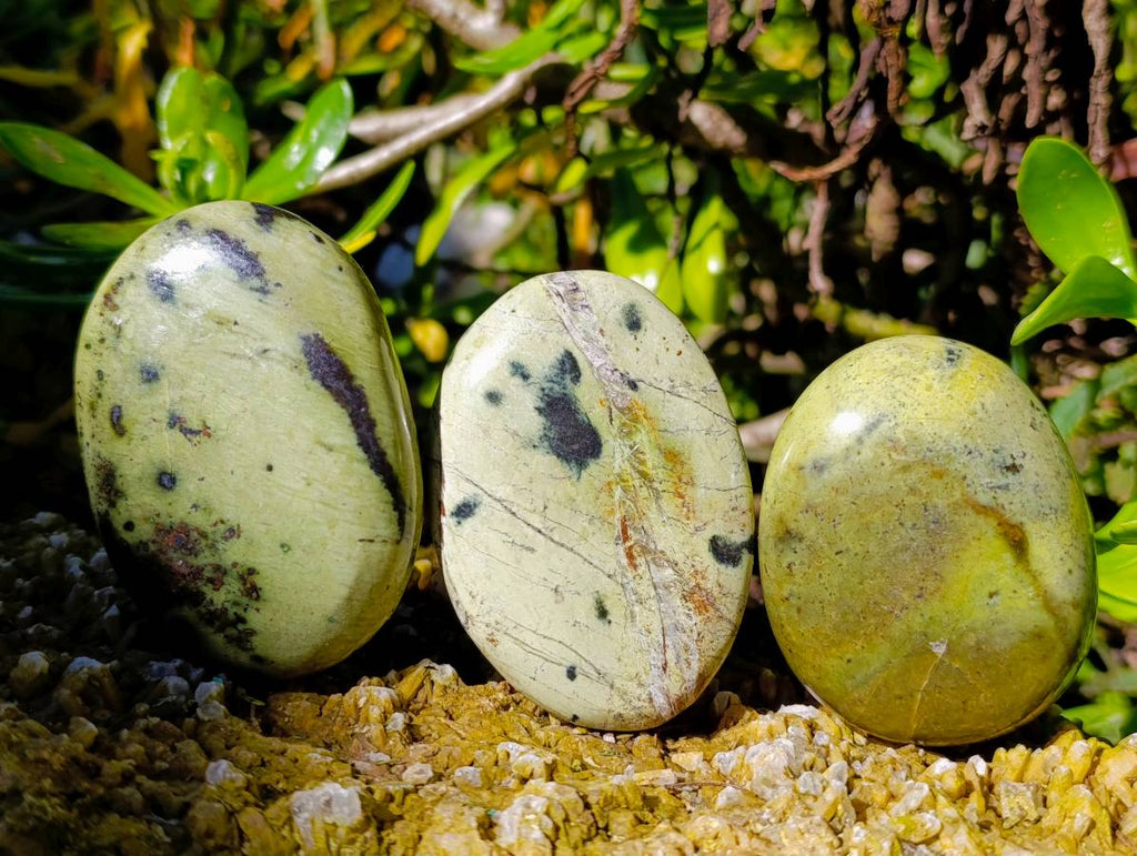 Polished Leopard Stone Palm Stones x 9 From Zimbabwe - Toprock Gemstones and Minerals 