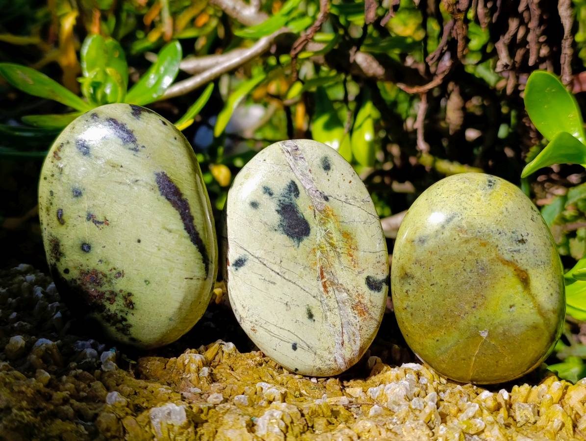 Polished Leopard Stone Palm Stones x 9 From Zimbabwe - Toprock Gemstones and Minerals 