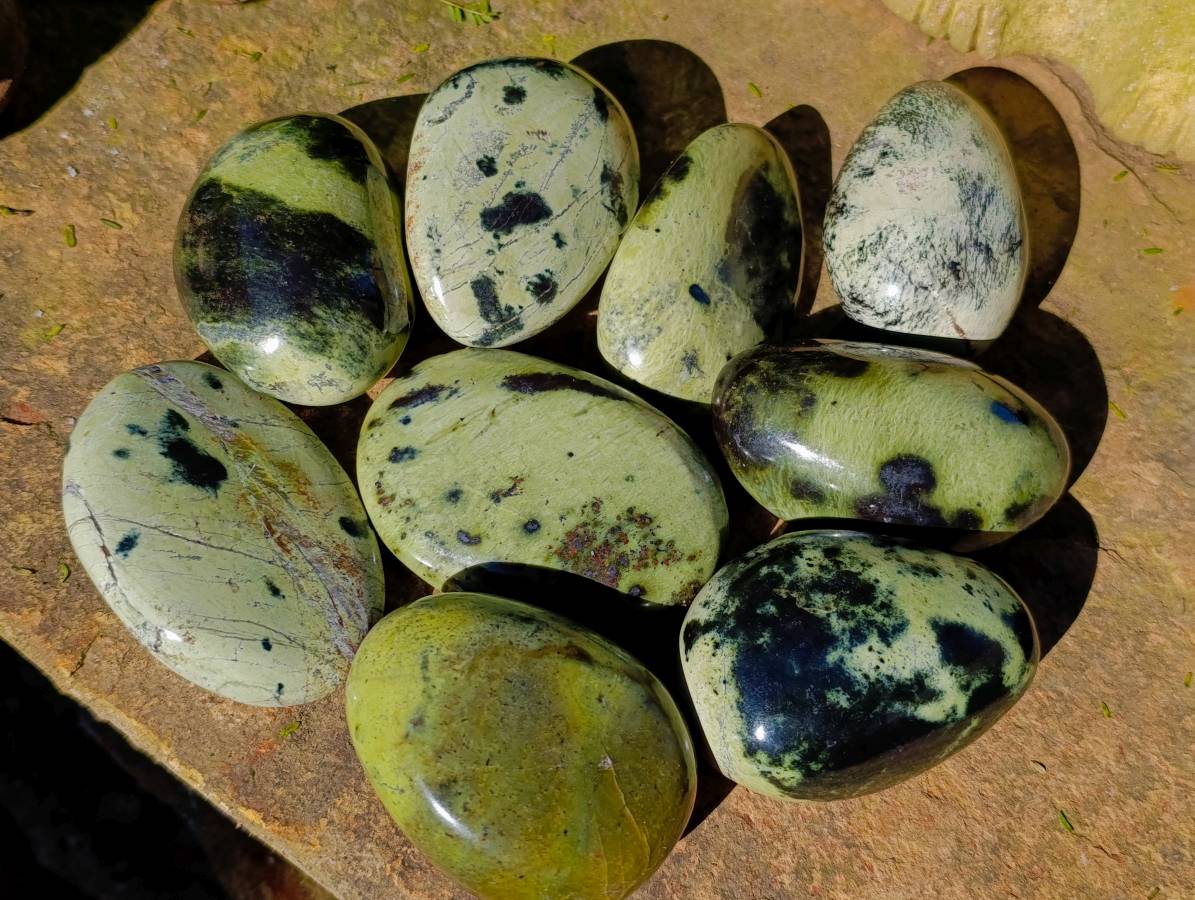 Polished Leopard Stone Palm Stones x 9 From Zimbabwe - Toprock Gemstones and Minerals 