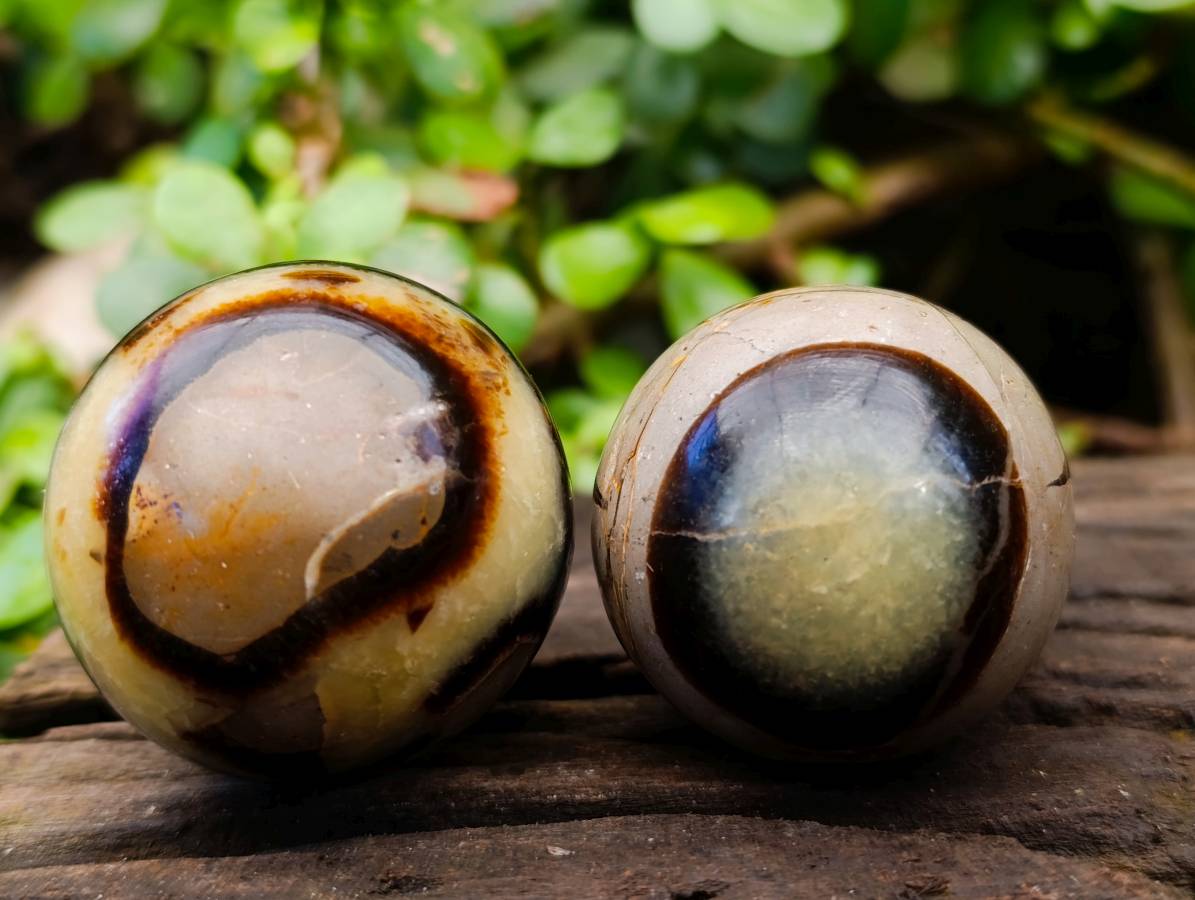 Polished Septerye Eggs x 5 From Mahajanga, Madagascar - Toprock Gemstones and Minerals 