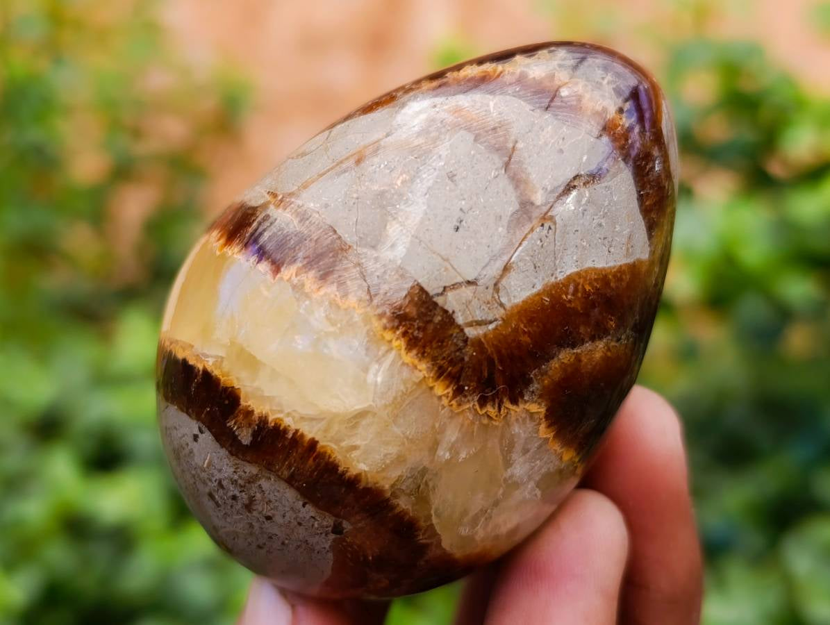 Polished Septerye Eggs x 5 From Mahajanga, Madagascar - Toprock Gemstones and Minerals 