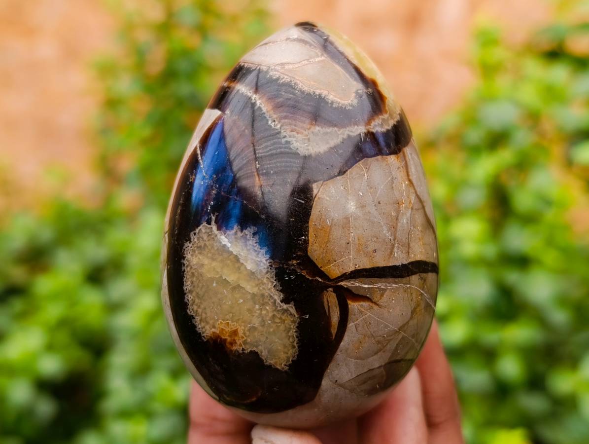 Polished Septerye Eggs x 5 From Mahajanga, Madagascar - Toprock Gemstones and Minerals 