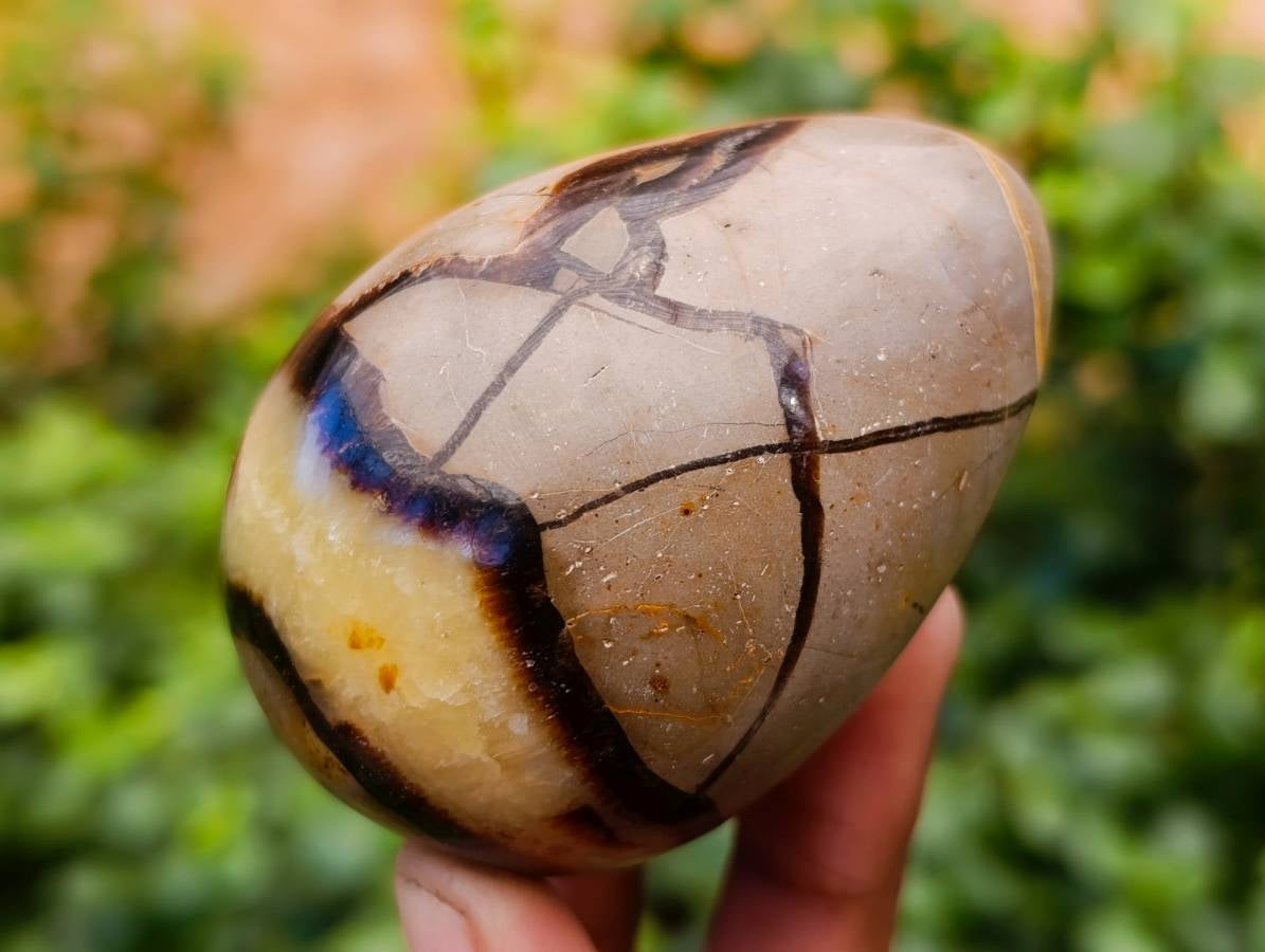 Polished Septerye Eggs x 5 From Mahajanga, Madagascar - Toprock Gemstones and Minerals 