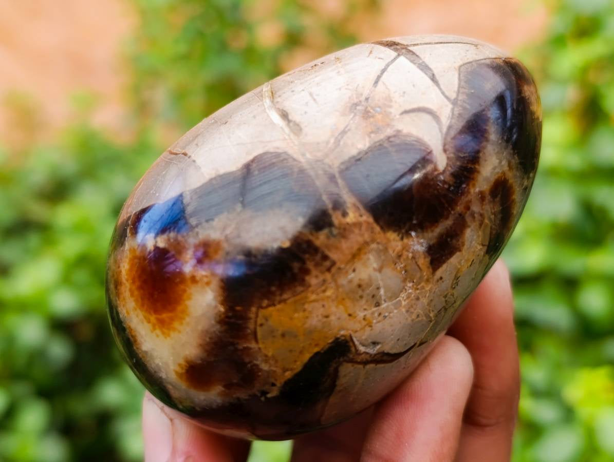 Polished Septerye Eggs x 5 From Mahajanga, Madagascar - Toprock Gemstones and Minerals 