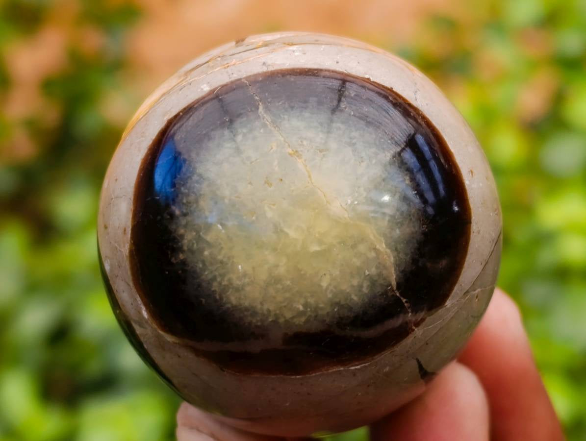 Polished Septerye Eggs x 5 From Mahajanga, Madagascar - Toprock Gemstones and Minerals 