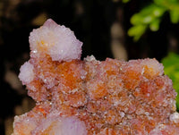 Natural Ametrine Spirit Quartz Clusters x 2 From Boekenhouthoek, South Africa - Toprock Gemstones and Minerals 