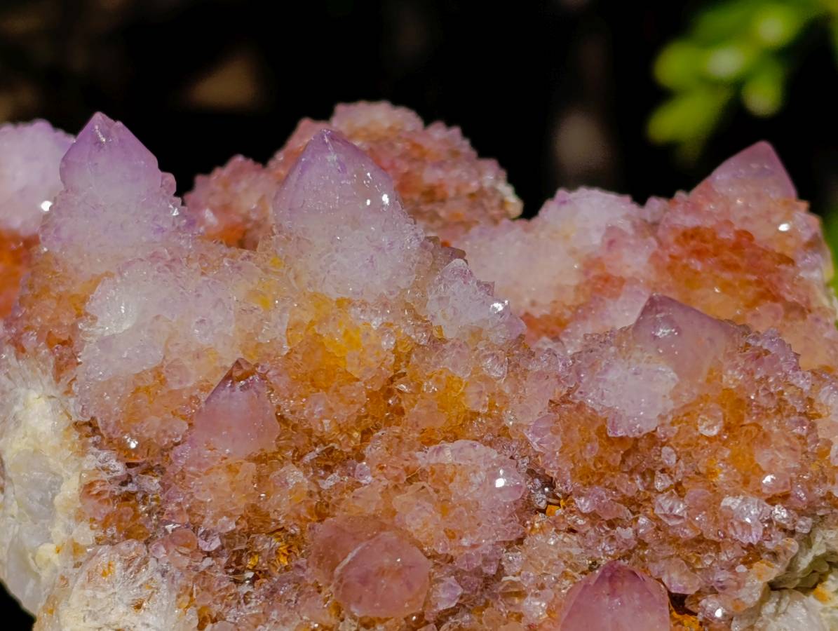 Natural Ametrine Spirit Quartz Clusters x 2 From Boekenhouthoek, South Africa - Toprock Gemstones and Minerals 