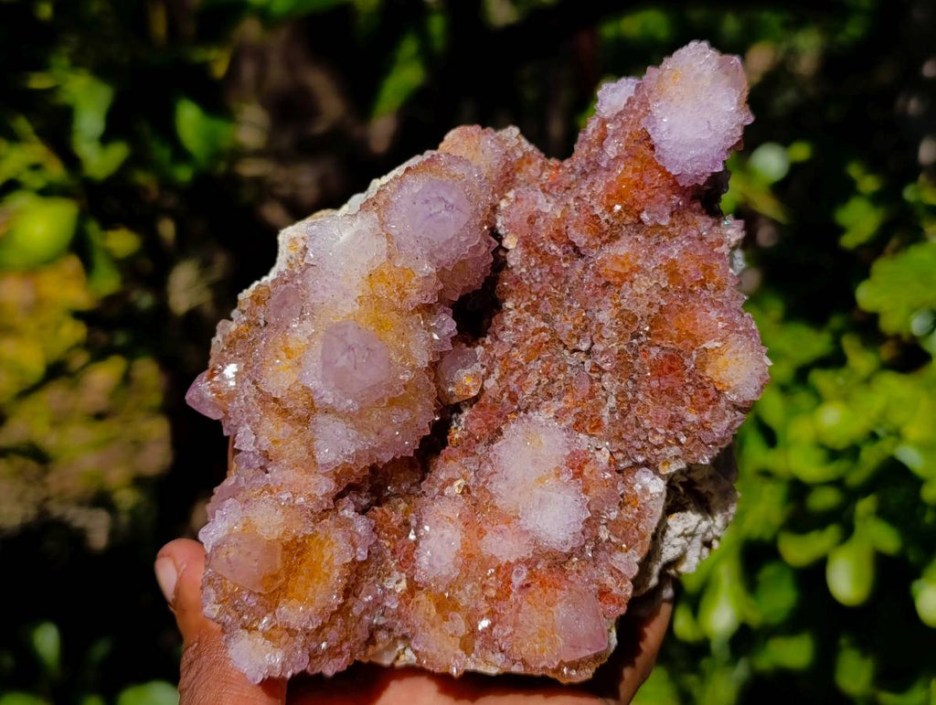 Natural Ametrine Spirit Quartz Clusters x 2 From Boekenhouthoek, South Africa - Toprock Gemstones and Minerals 