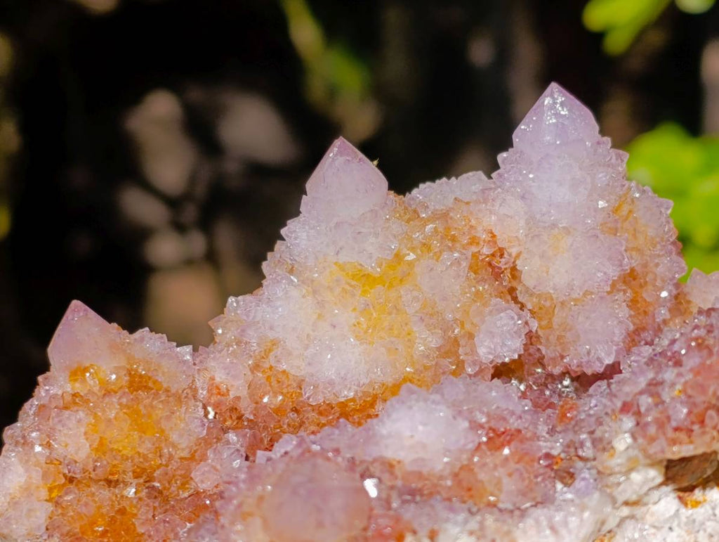 Natural Ametrine Spirit Quartz Clusters x 2 From Boekenhouthoek, South Africa - Toprock Gemstones and Minerals 