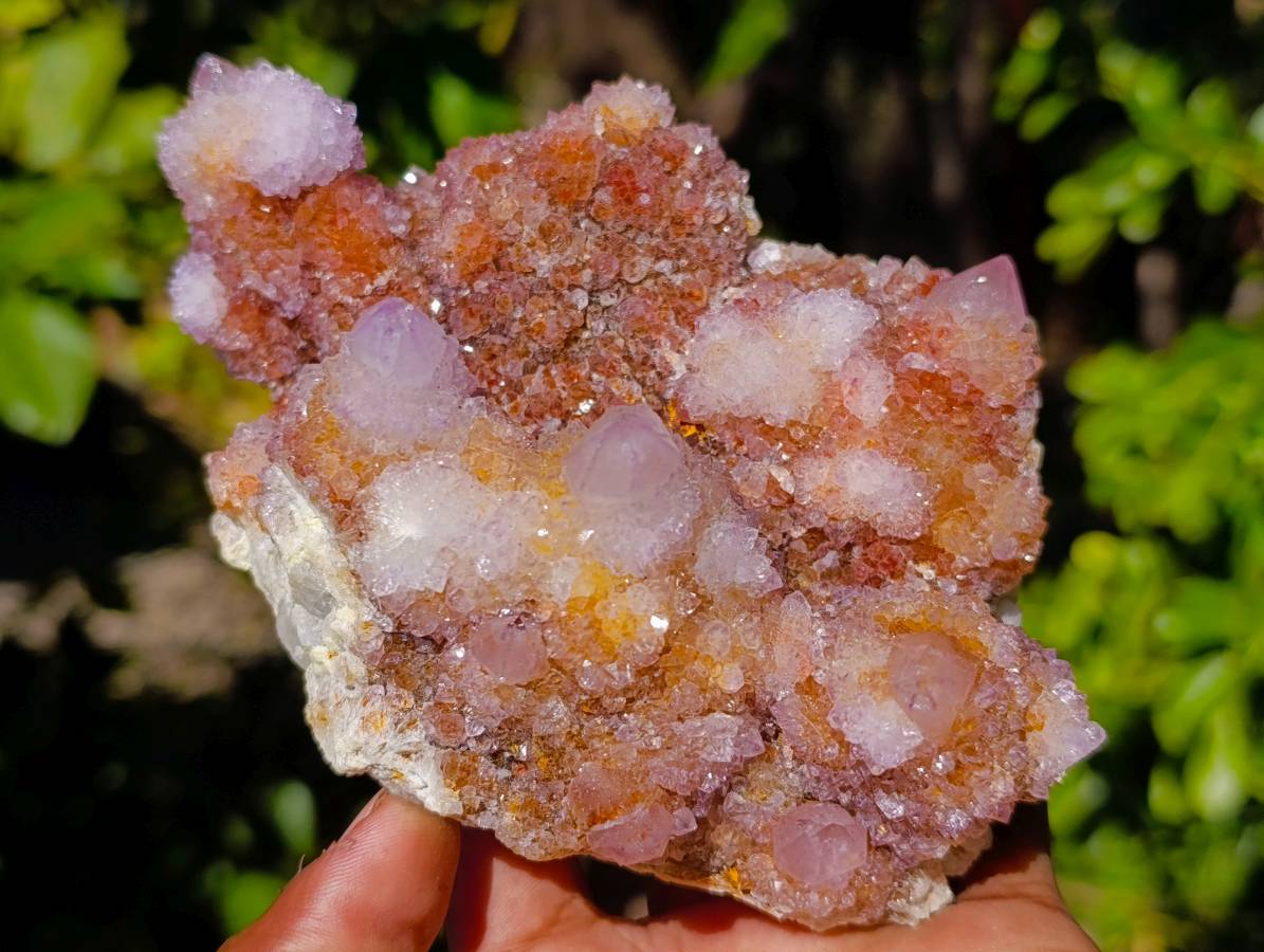 Natural Ametrine Spirit Quartz Clusters x 2 From Boekenhouthoek, South Africa - Toprock Gemstones and Minerals 