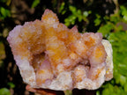 Natural Ametrine Spirit Quartz Clusters x 2 From Boekenhouthoek, South Africa - Toprock Gemstones and Minerals 