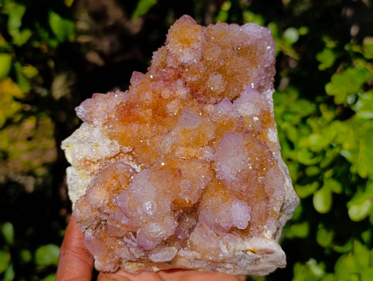 Natural Ametrine Spirit Quartz Clusters x 2 From Boekenhouthoek, South Africa - Toprock Gemstones and Minerals 