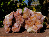 Natural Ametrine Spirit Quartz Clusters x 2 From Boekenhouthoek, South Africa - Toprock Gemstones and Minerals 