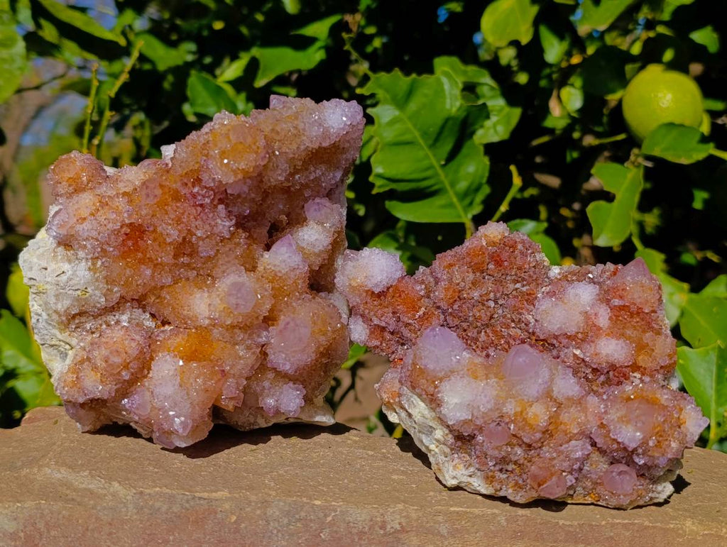 Natural Ametrine Spirit Quartz Clusters x 2 From Boekenhouthoek, South Africa - Toprock Gemstones and Minerals 