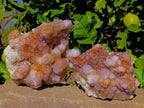 Natural Ametrine Spirit Quartz Clusters x 2 From Boekenhouthoek, South Africa - Toprock Gemstones and Minerals 
