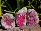 Natural Salrose Cobaltion Dolomite Specimens x 6 From Kakanda, Congo - Toprock Gemstones and Minerals 