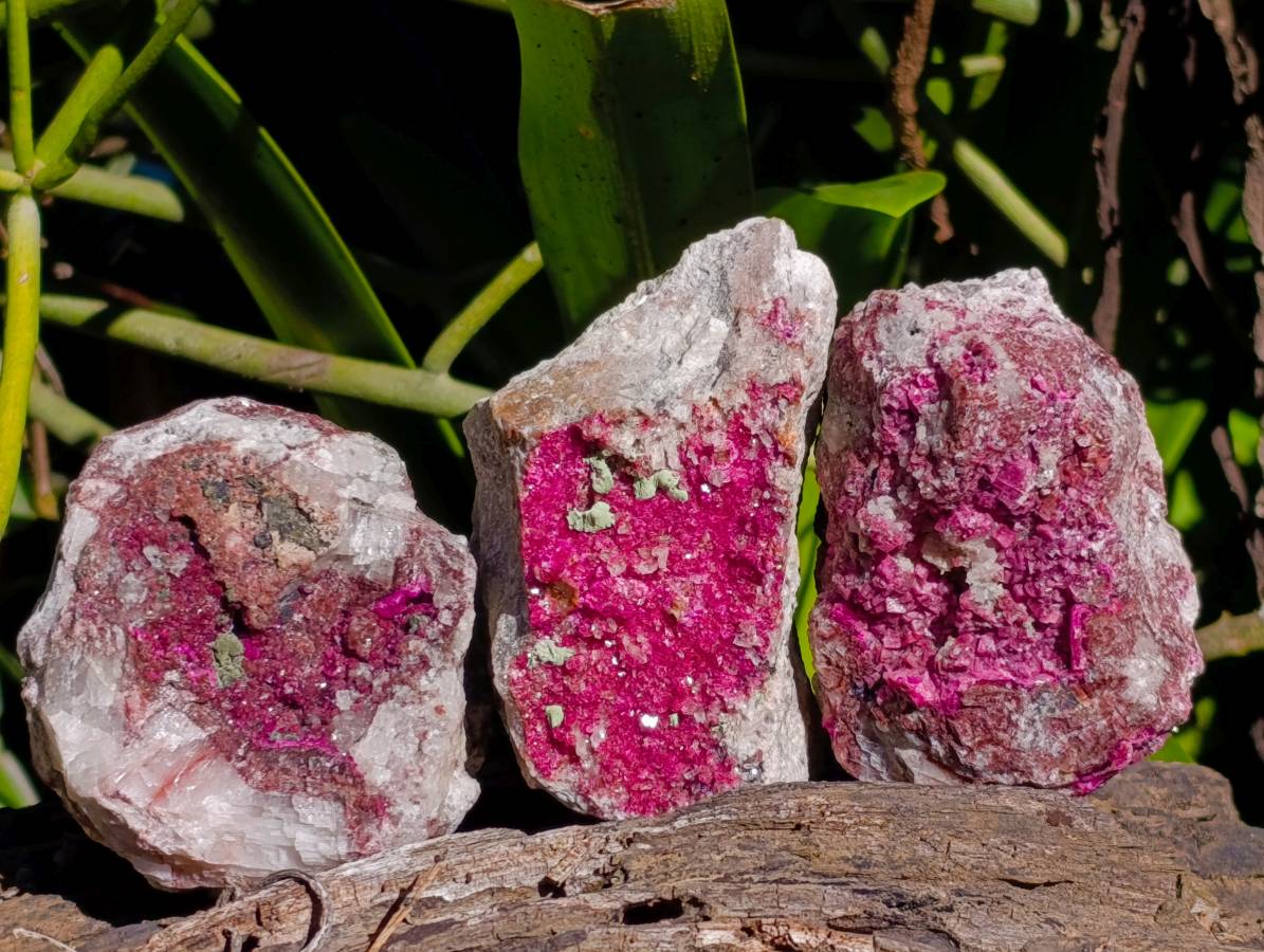 Natural Salrose Cobaltion Dolomite Specimens x 6 From Kakanda, Congo - Toprock Gemstones and Minerals 