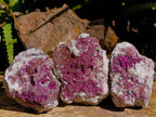Natural Salrose Cobaltion Dolomite Specimens x 6 From Kakanda, Congo - Toprock Gemstones and Minerals 